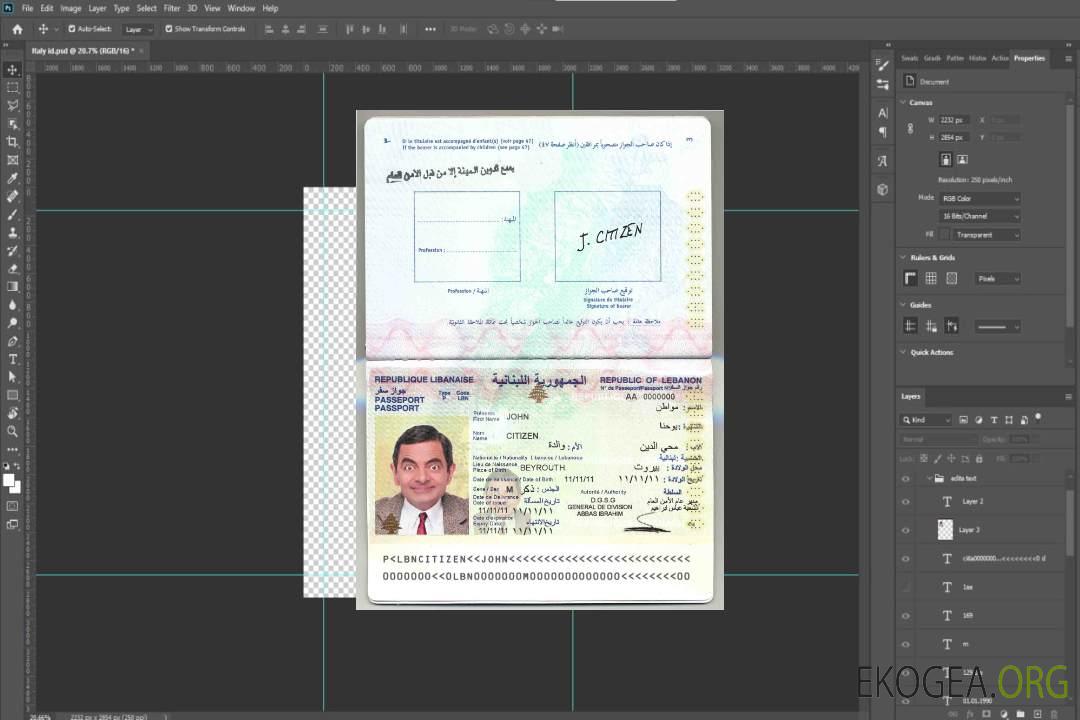 Passeport du Liban template Passeport du Liban template